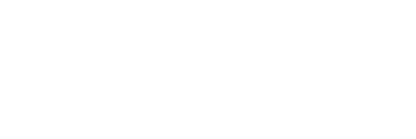 INECA